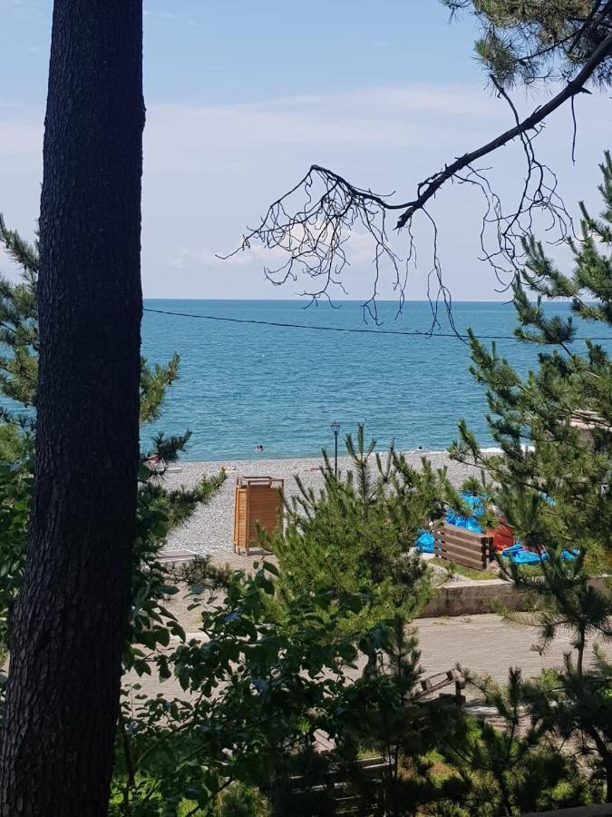 Midia Guest House Kobuleti Εξωτερικό φωτογραφία