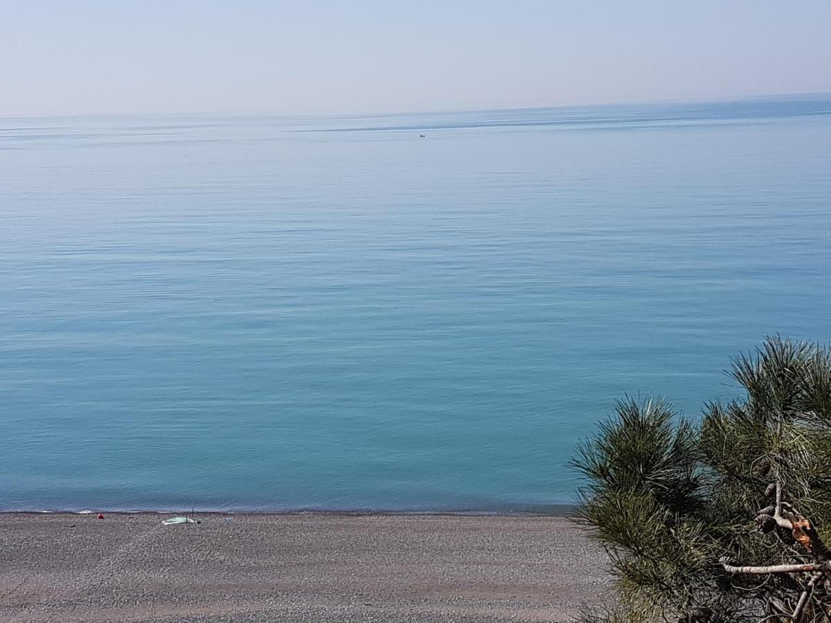 Midia Guest House Kobuleti Εξωτερικό φωτογραφία