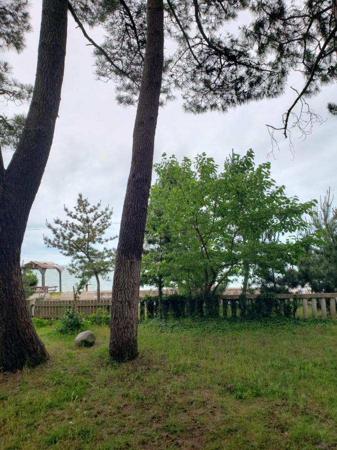 Midia Guest House Kobuleti Εξωτερικό φωτογραφία