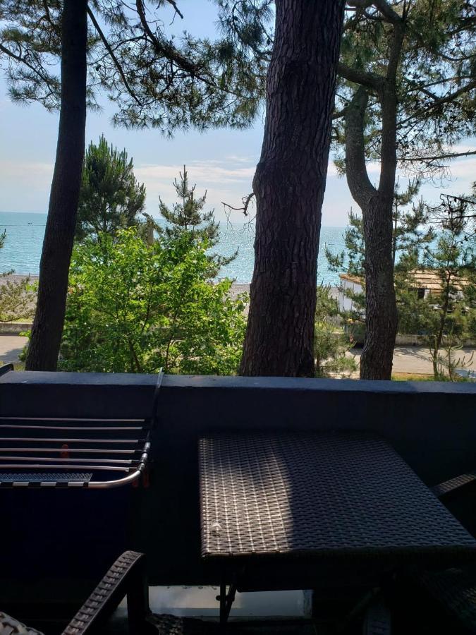 Midia Guest House Kobuleti Εξωτερικό φωτογραφία