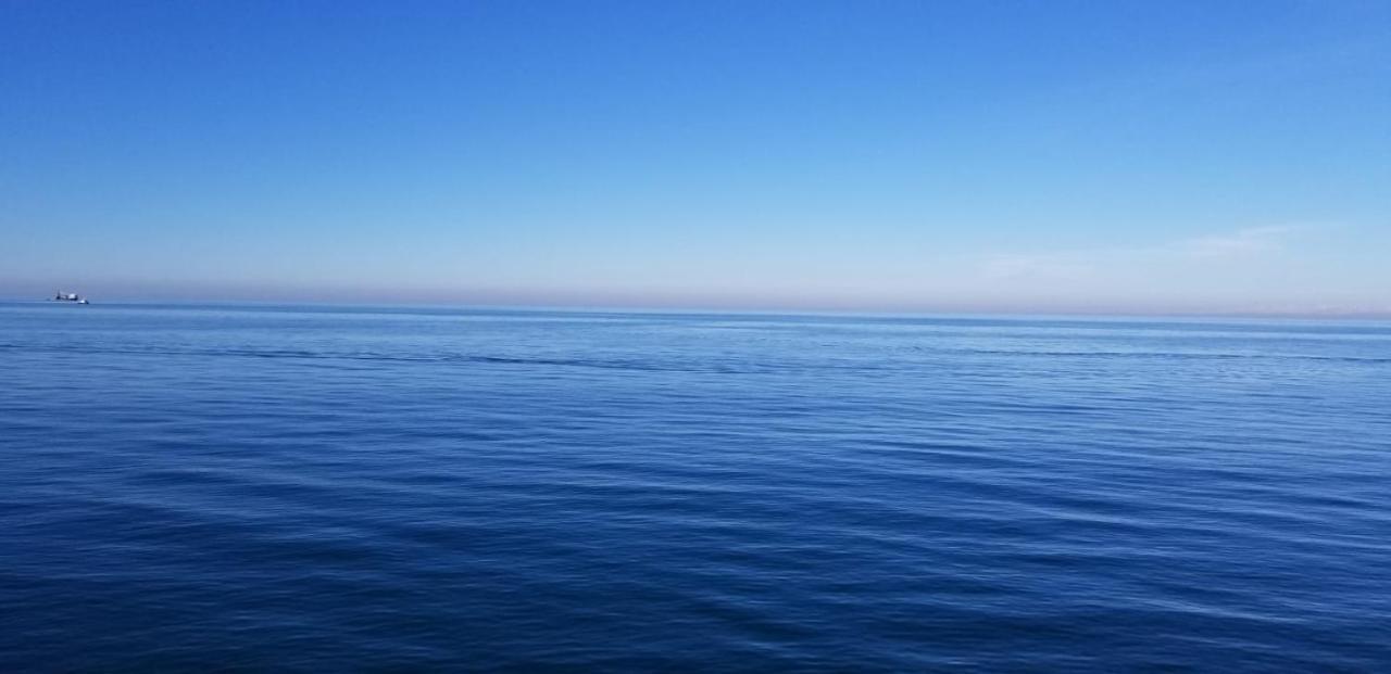 Midia Guest House Kobuleti Εξωτερικό φωτογραφία