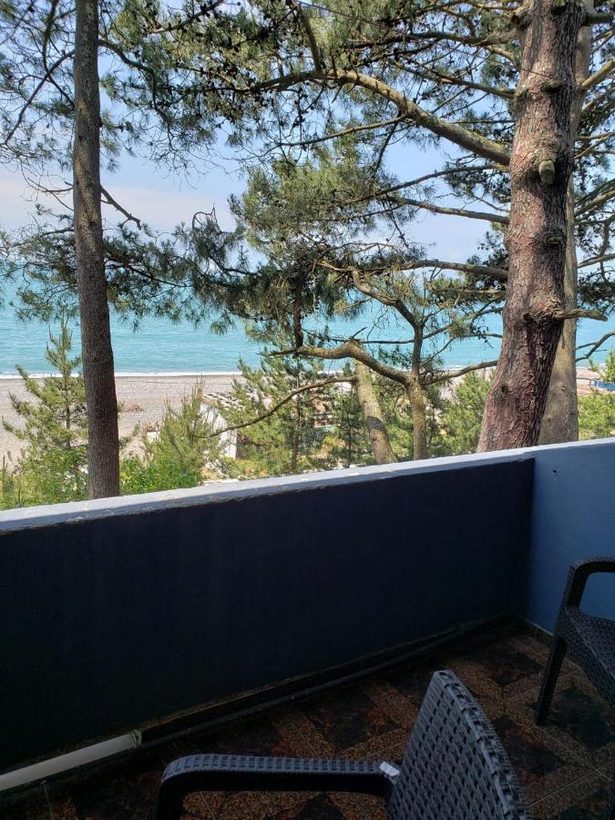 Midia Guest House Kobuleti Εξωτερικό φωτογραφία