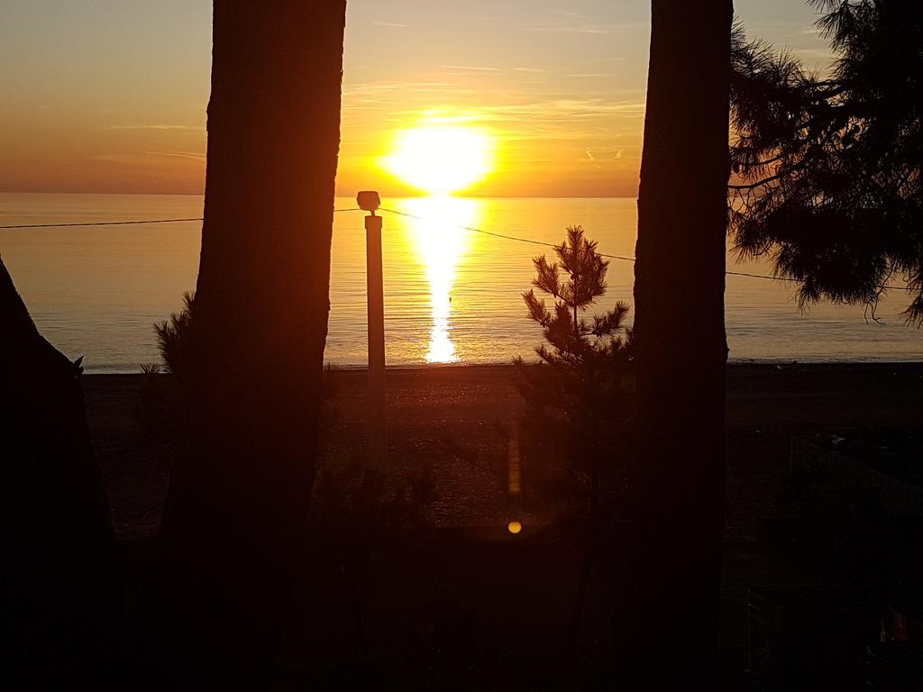 Midia Guest House Kobuleti Εξωτερικό φωτογραφία