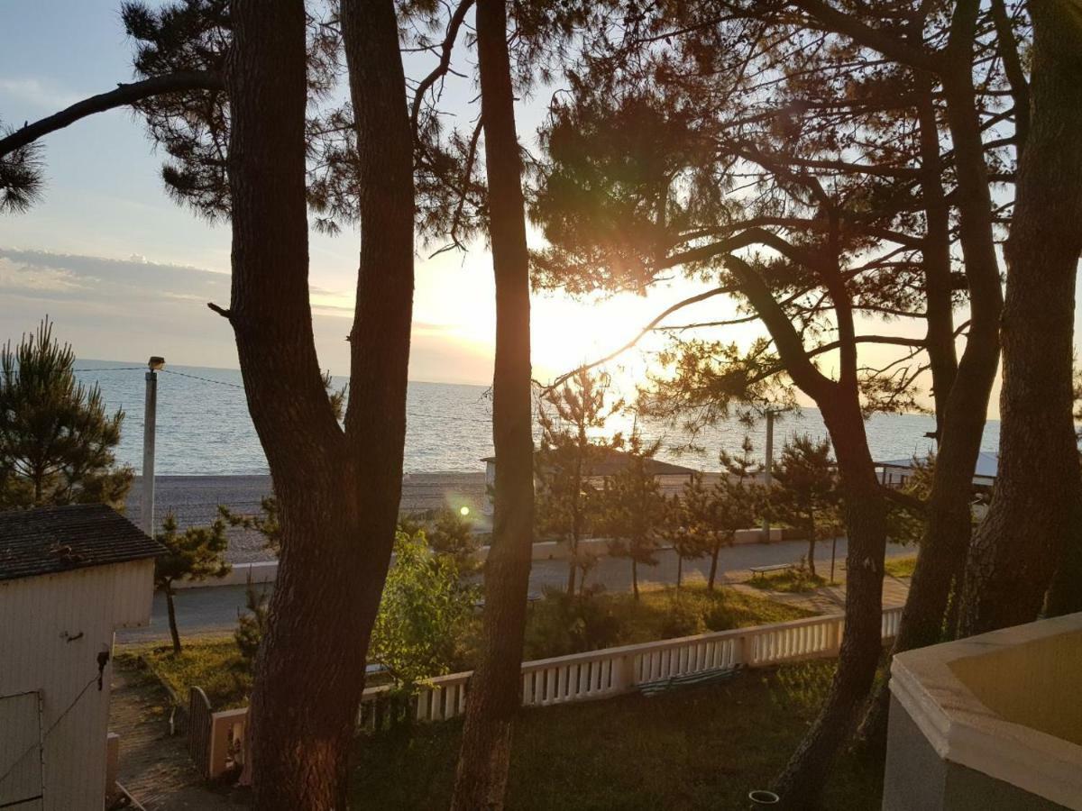 Midia Guest House Kobuleti Εξωτερικό φωτογραφία